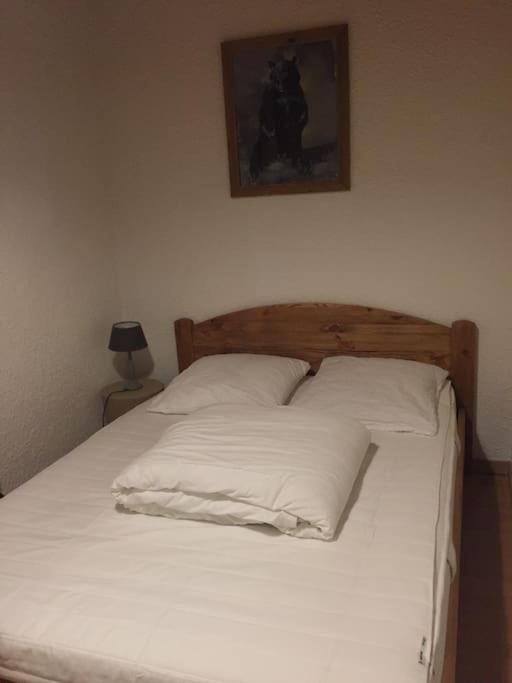 Grand Studio De 36M2 Avec Alcove, Situe Au Centre. Daire Les Deux Alpes Dış mekan fotoğraf